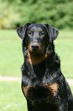 BEAUCERON 848